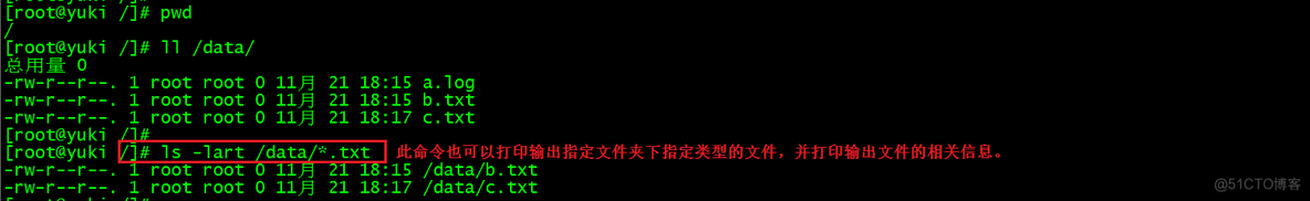 echo 命令详解 echo命令怎么读_linux_09