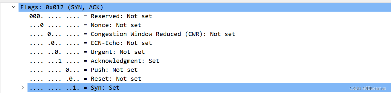 wireshark rdp协议 握手 wireshark握手实验,wireshark rdp协议 握手 wireshark握手实验_客户端_05,第5张