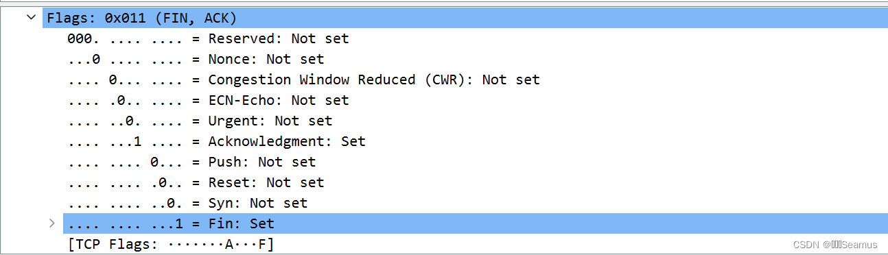 wireshark rdp协议 握手 wireshark握手实验,wireshark rdp协议 握手 wireshark握手实验_客户端_10,第10张