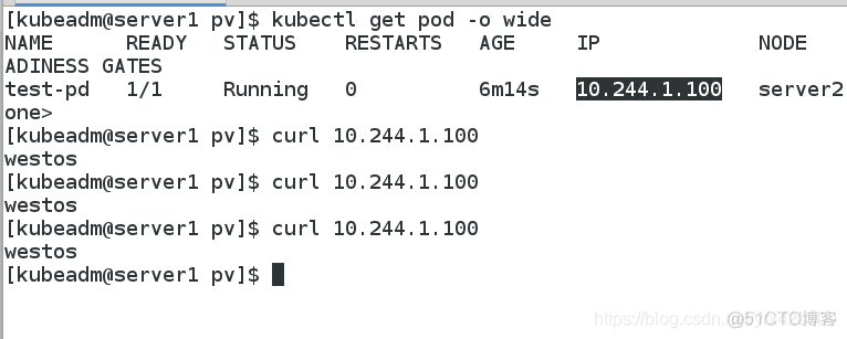 k8s 容器持久化根目录 k8s 持久化卷_Pod_07