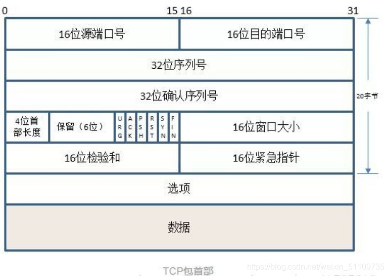 wireshark显示mac地址 wireshark查看mac地址_数据