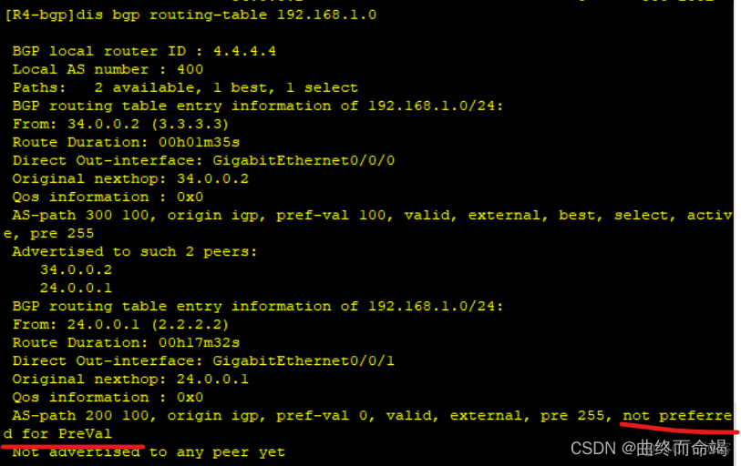 bgp 选路实验 bgp11条选路_网络_07