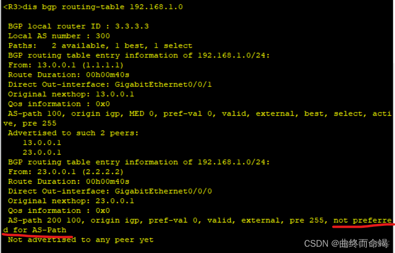 bgp 选路实验 bgp11条选路_R3_21