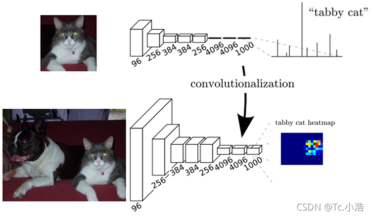 transformer用于语义分割 语义分割fcn_全连接_09