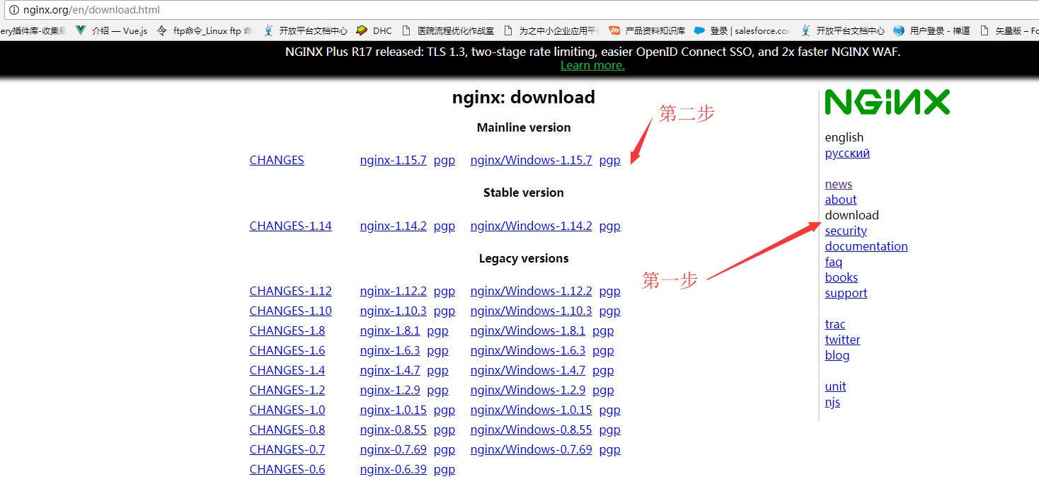 IIS 和NGINX 公用443 nginx iis配置_nginx_03