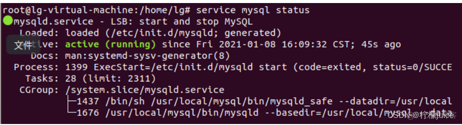 ubuntu怎么运行apidemo Ubuntu怎么运行jar包_mysql_07