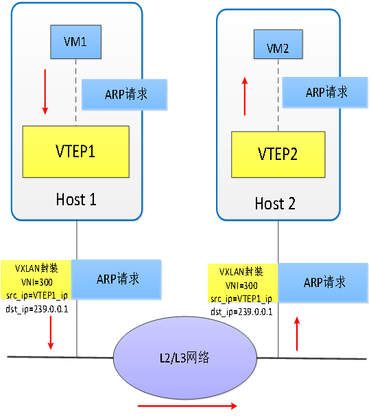 VXLAN建立隧道的方式 vxlan隧道封装_VXLAN建立隧道的方式_04