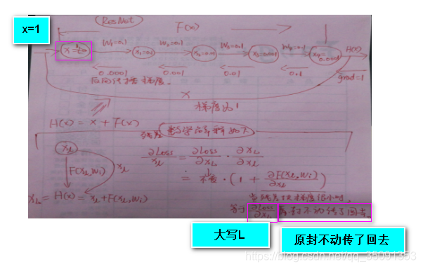 torch调用resnet50 torch resnet_ide_15