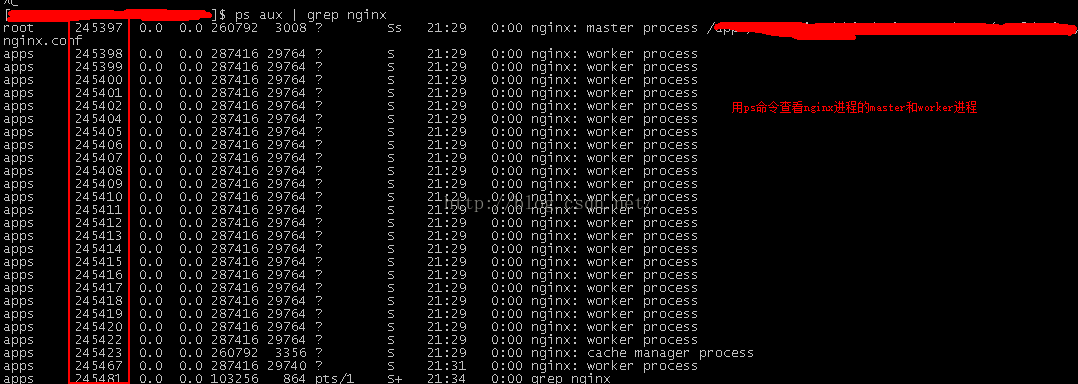 nginx 状态码list nginx状态码111_nginx 状态码list_03