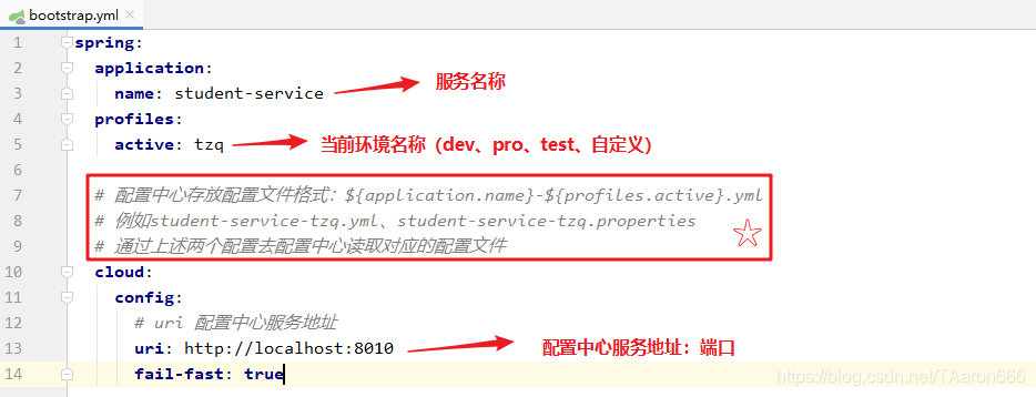 springcloud本地配置 springcloud config配置_后端_04