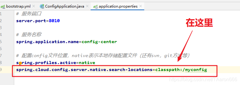 springcloud本地配置 springcloud config配置_springcloud本地配置_05