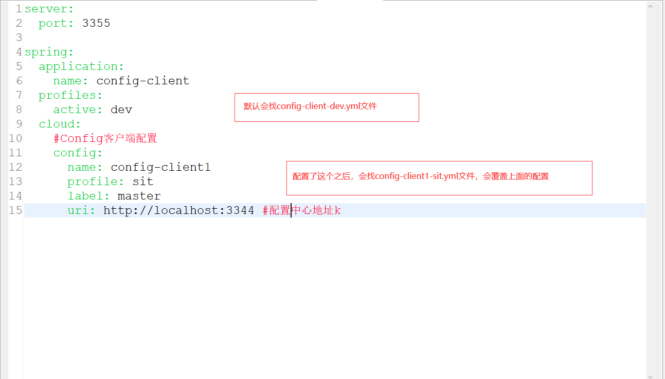 springcloud本地配置 springcloud config配置_spring cloud_07