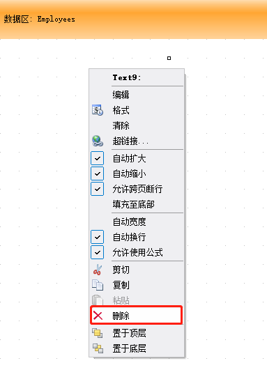 FastReport Designer打印DataSet fastreport打印票据_鼠标移动_07