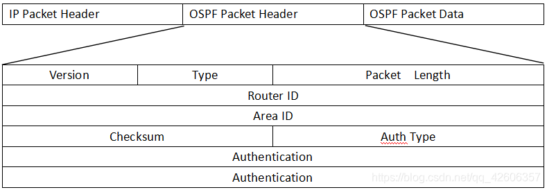 OSPF路由协议重点 ospf协议路由配置_路由协议_08