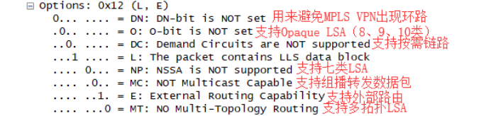 OSPF路由协议重点 ospf协议路由配置_ospf_11