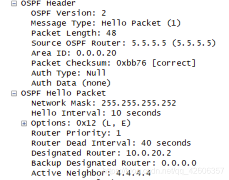 OSPF路由协议重点 ospf协议路由配置_网络协议_13