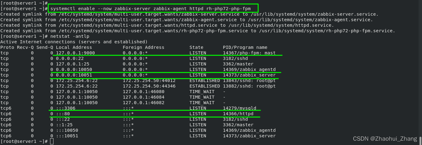 Zabbix标准模板指南 zabbix模板导入步骤_nginx_18