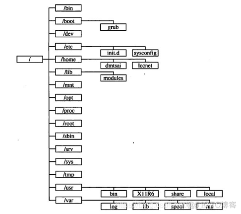 centos DNS转发 centos dns路径_centos DNS转发