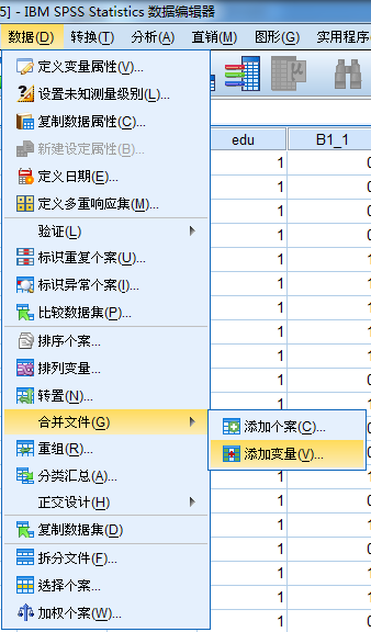 输入权值和输入权重一样吗 spss权重输入_子菜单_17