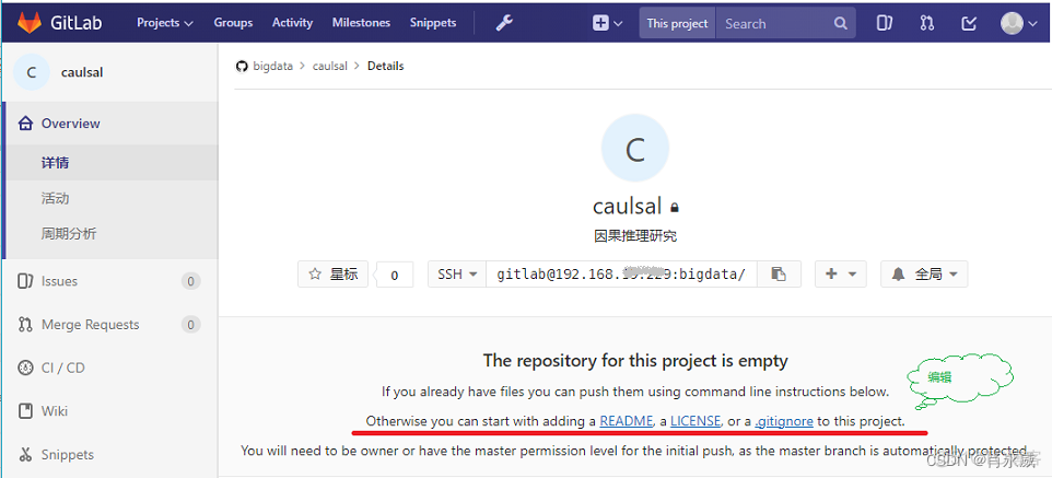 gitlab 新建仓库 gitlab仓库搭建_CMMI_04