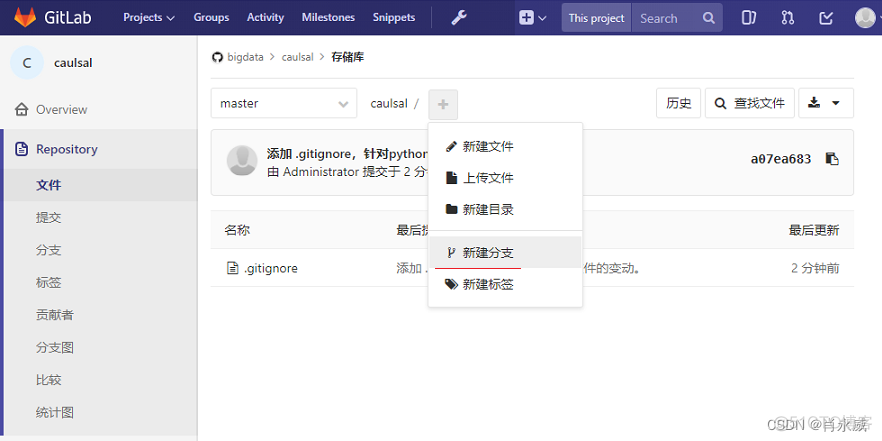 gitlab 新建仓库 gitlab仓库搭建_CMMI_06