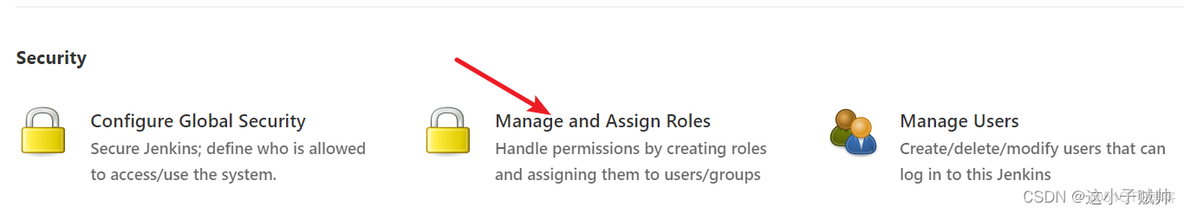 jenkins Manage and Assign Roles 项目权限 不起作用 jenkins用户权限管理_jenkins_15