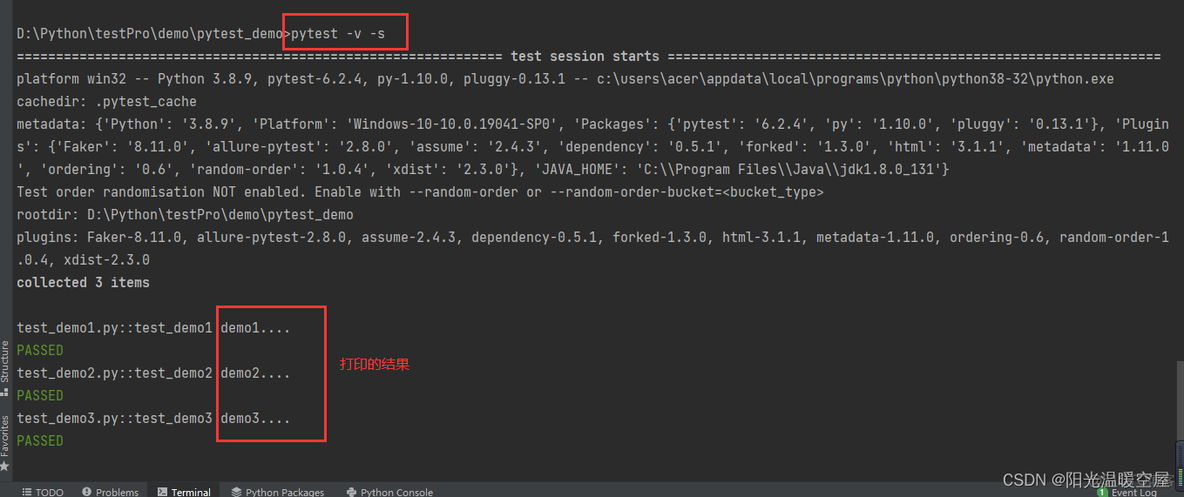 pytest不执行指定目录 pytest命令行_文件名_04