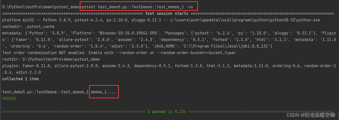 pytest不执行指定目录 pytest命令行_python_07