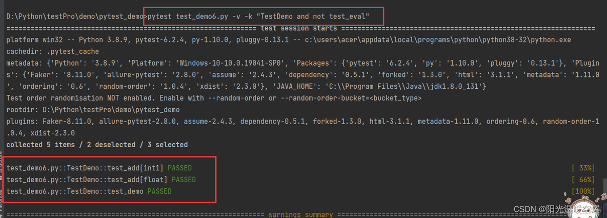 pytest不执行指定目录 pytest命令行_python_09