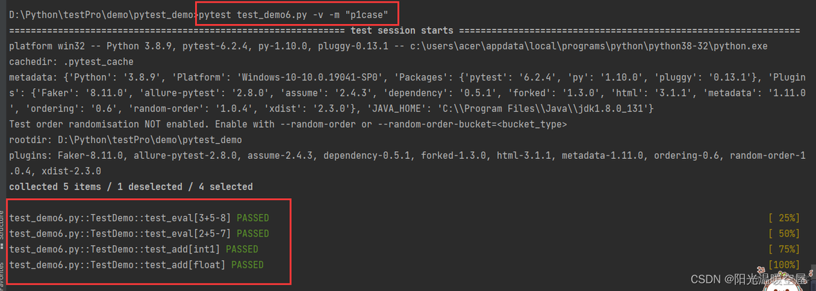 pytest不执行指定目录 pytest命令行_命令行_10