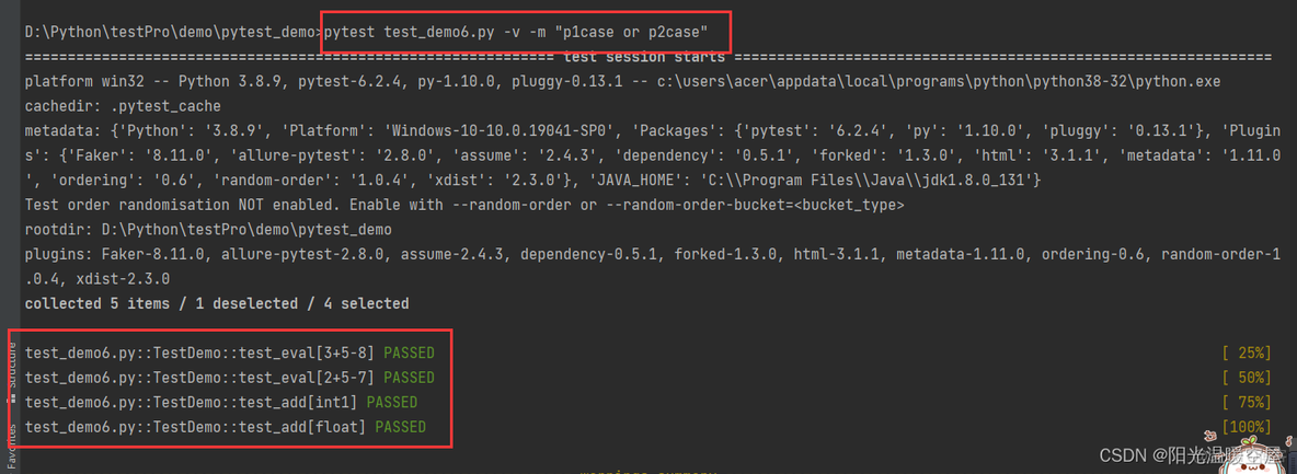 pytest不执行指定目录 pytest命令行_pytest不执行指定目录_11