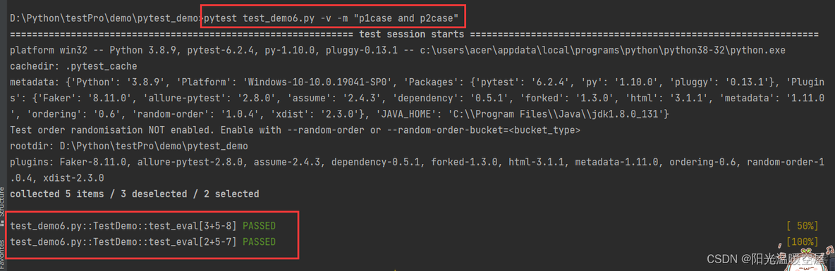 pytest不执行指定目录 pytest命令行_python_12