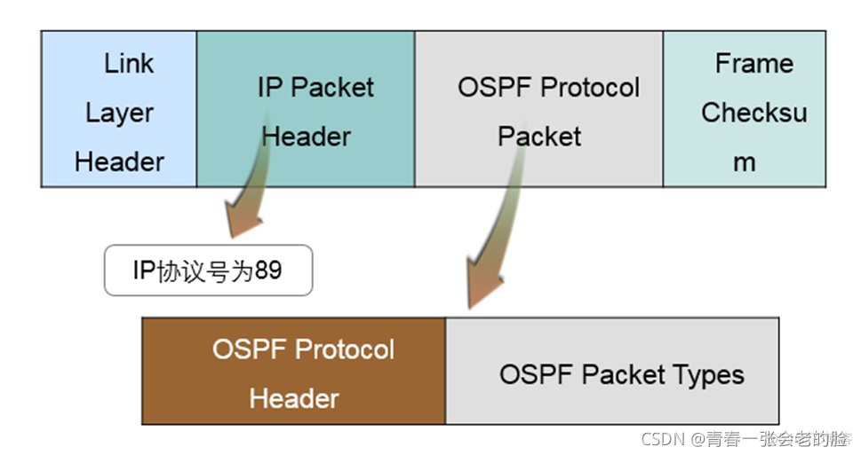 ospf原理 ospf的基本原理_网络协议