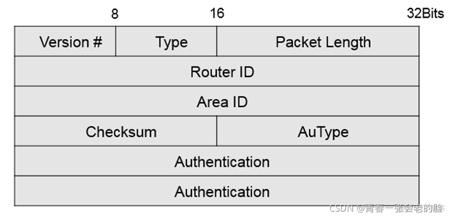 ospf原理 ospf的基本原理_网络_02