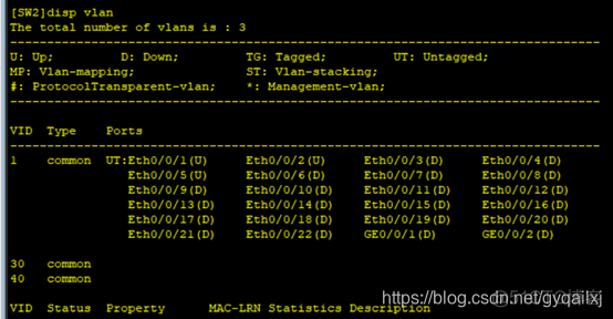 将SW的interface vlan 10设置为被动接口 sw access vlan_通信测试_06