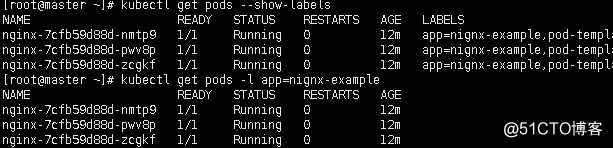 k8s安装flink是否启动成功 k8s安装coredns_nginx_29