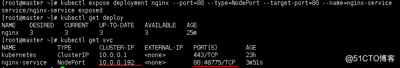 k8s安装flink是否启动成功 k8s安装coredns_nginx_32