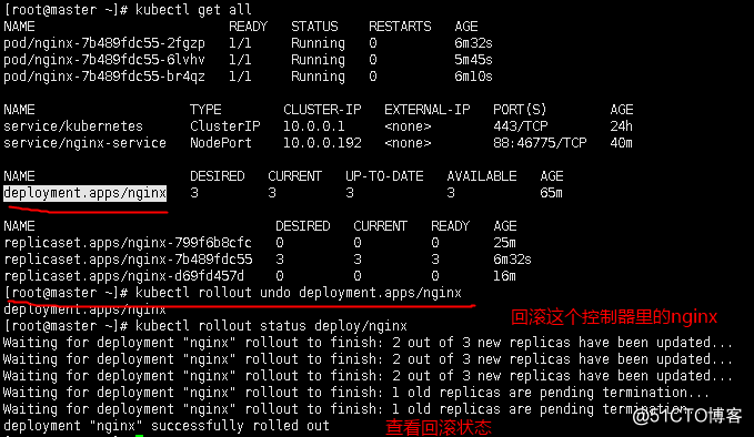 k8s安装flink是否启动成功 k8s安装coredns_nginx_45