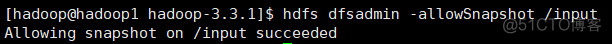 hdfs删快照失败 hdfs快照恢复_hadoop_02