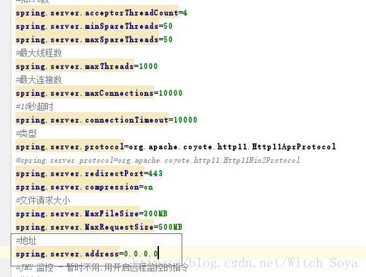 springboot 使用 本地apollo配置 springboot apr_tomcat_20