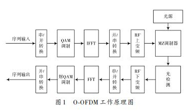 非线性自适应权重 非线性调节效应_误码率