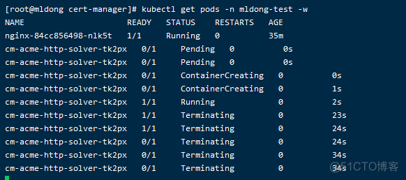 k8s中部署jenkins k8s中部署letsencrypt_docker_04