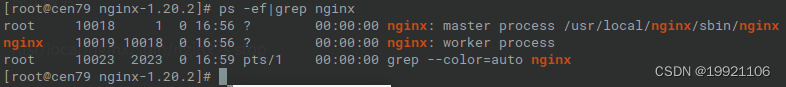 nginx rpm安装 默认安装目录 linux nginx rpm安装_nginx_03