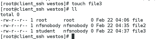 nfs文件系统设置 nfs文件用什么打开_vim_12