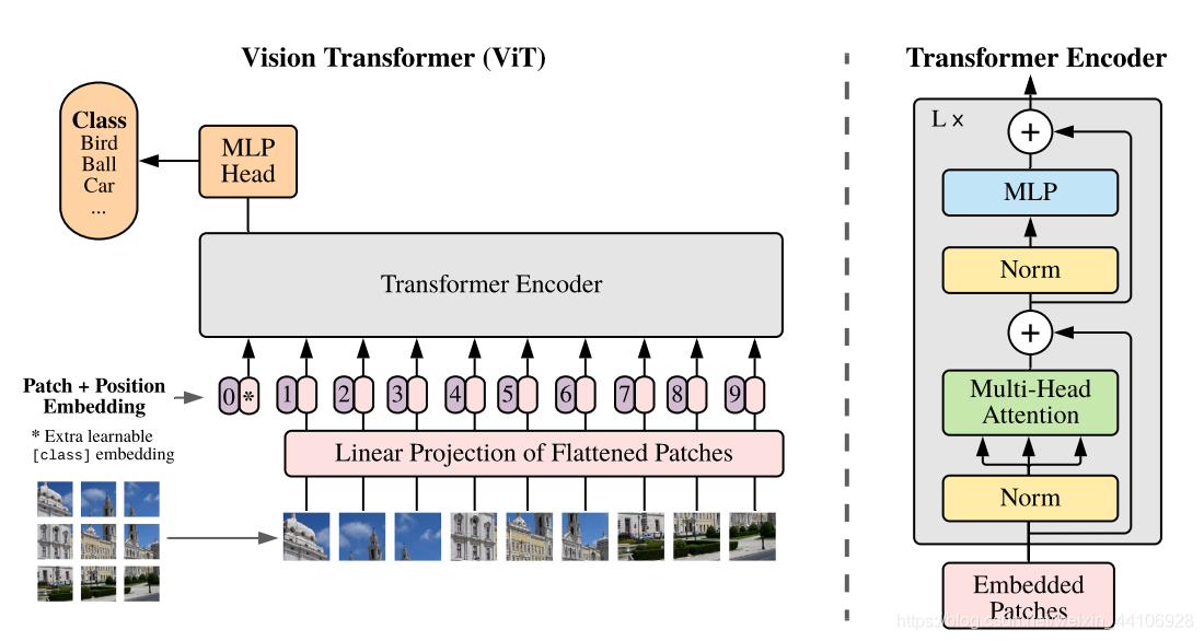 cnn怎样结合到transformer中 cnn和transformer区别_分类_09