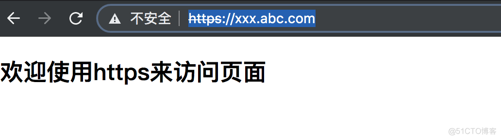 nginx 数字证书 nginx的ssl证书_html_16