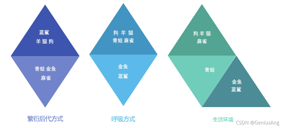 光流算法 opencv 光流算法聚类_聚类算法