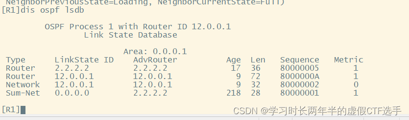 ospf汇总后还有明细路由 ospf路由汇总的作用,ospf汇总后还有明细路由 ospf路由汇总的作用_ospf汇总后还有明细路由_09,第9张