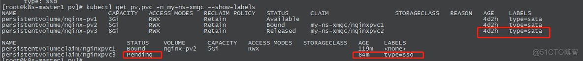 k8s 更新pod statefulset k8s 更新pv_html_06