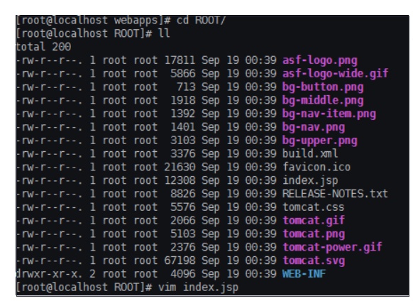 nginx双节点 nginx双网卡怎么配置,nginx双节点 nginx双网卡怎么配置_nginx代理网卡_05,第5张